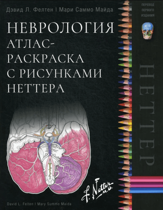 Неврология. Атлас-раскраска с рисунками Неттера