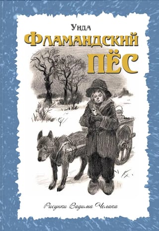 Фламандский пес