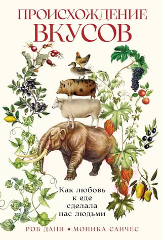 Происхождение вкусов: Как любовь к еде сделала нас людьми