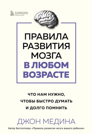 Правила развития мозга в любом возрасте. Что нам нужно, чтобы быстро думать и долго помнить