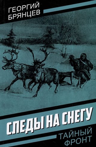 Следы на снегу