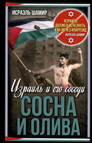 Сосна и олива. Израиль и его соседи