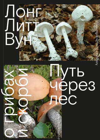 Путь через лес. О грибах и скорби