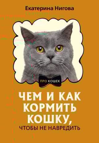Чем и как кормить кошку, чтобы не навредить