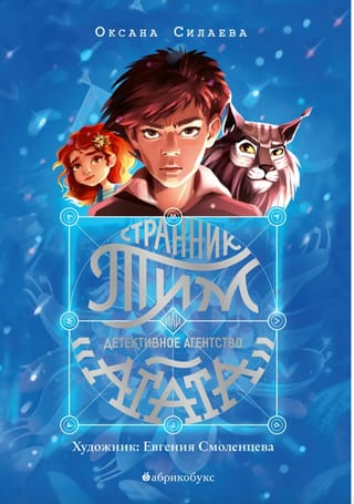 Странник Тим, или детективное агентство Агата