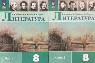 Литература. 8 класс. В 2 частях