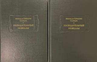 Назидательные новеллы. В 2 томах