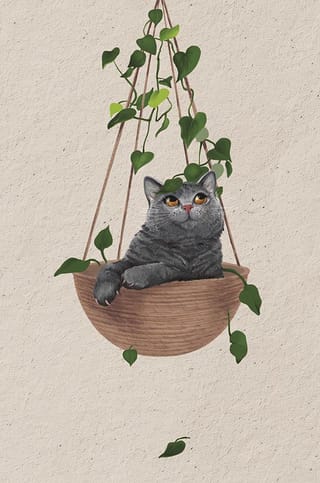 Открытка. Котик в подвесном горшке