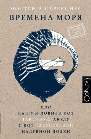 Времена моря, или как мы ловили вот такенную акулу с вот такусенькой надувной лодки
