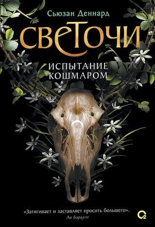 Светочи. Книга 1. Испытание кошмаром