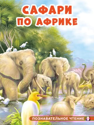 Сафари по Африке