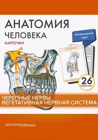 Анатомия человека. Карточки. Черепные нервы. Вегетативная нервная система