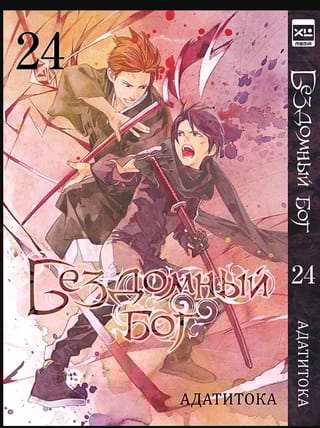 Бездомный бог. Том 24