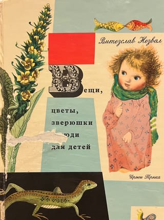 Вещи, цветы, зверюшки и люди для детей