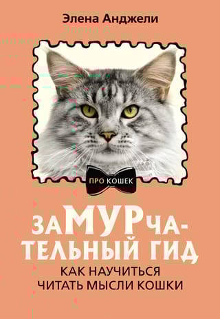 ЗаМУРчательный гид. Как научиться читать мысли кошки