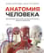 Анатомия человека. Визуальный гид по всем системам организма: норма и патологии