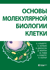 Основы молекулярной биологии клетки