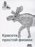 Красота простой физики