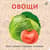 Книжки - картонки. Овощи