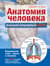 Анатомия человека: большой популярный атлас
