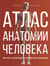 Атлас анатомии человека. Русско-латинско-английское издание