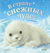 В стране снежных чудес