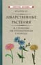 Лекарственные растения и способы их применения в народе