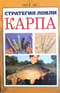 Стратегия ловли карпа