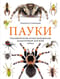 Пауки. Познавательная иллюстрированная энциклопедия для всей семьи