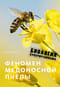 Феномен медоносной пчелы. Биология суперорганизма