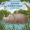 Дикие животные. Загадки-рифмы