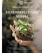 Беспочвенные мифы. Новая жизнь комнатных растений в альтернативном грунте