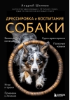Дрессировка и воспитание собаки