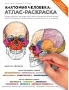 Анатомия человека: атлас-раскраска