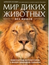 Мир диких животных  без мифов. Невероятные фотоистории о жизни хищников саванны