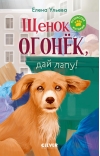 Щенок Огонек, дай лапу!