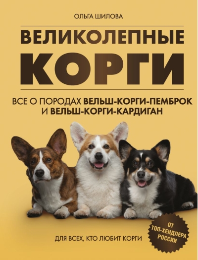 Великолепные корги.  Все о породах вельш-корги-пемброк и вельш-корги-кардиган