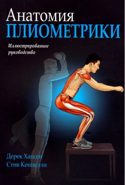 Анатомия плиометрики
