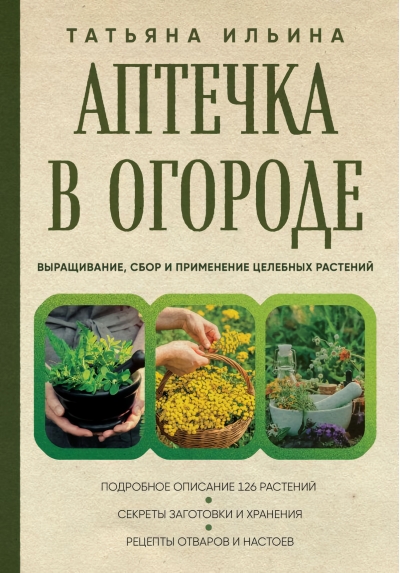 Аптечка в огороде.  Выращивание, сбор и применение целебных растений