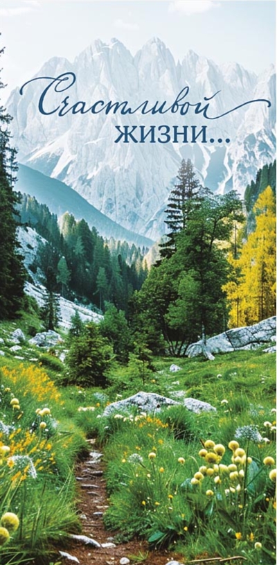 Конверт для денег. Счастливой жизни... Горы