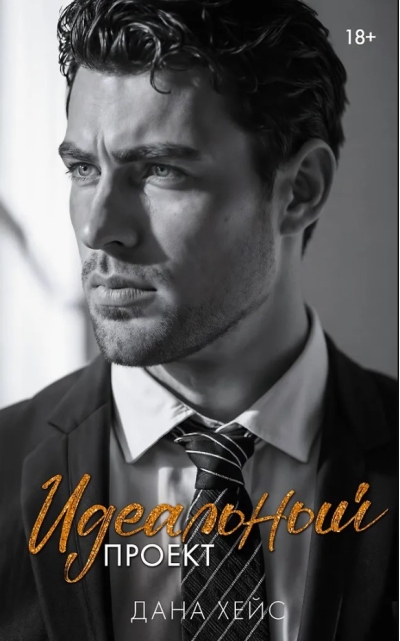 Идеальный проект