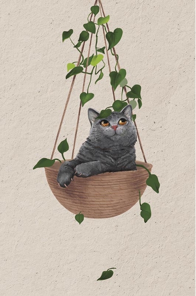 Открытка. Котик в подвесном горшке